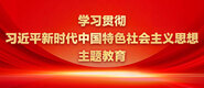 大鸡巴操逼网视频学习贯彻习近平新时代中国特色社会主义思想主题教育_fororder_ad-371X160(2)